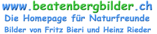 logo_beatenbergbilder_2007_5dd.png / Hintergrund transparent
